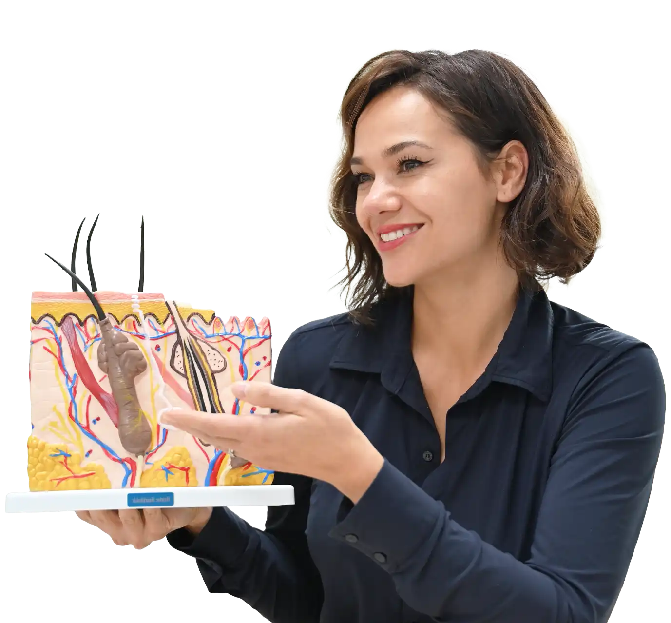 haartransplantatie gratis adviesgesprek